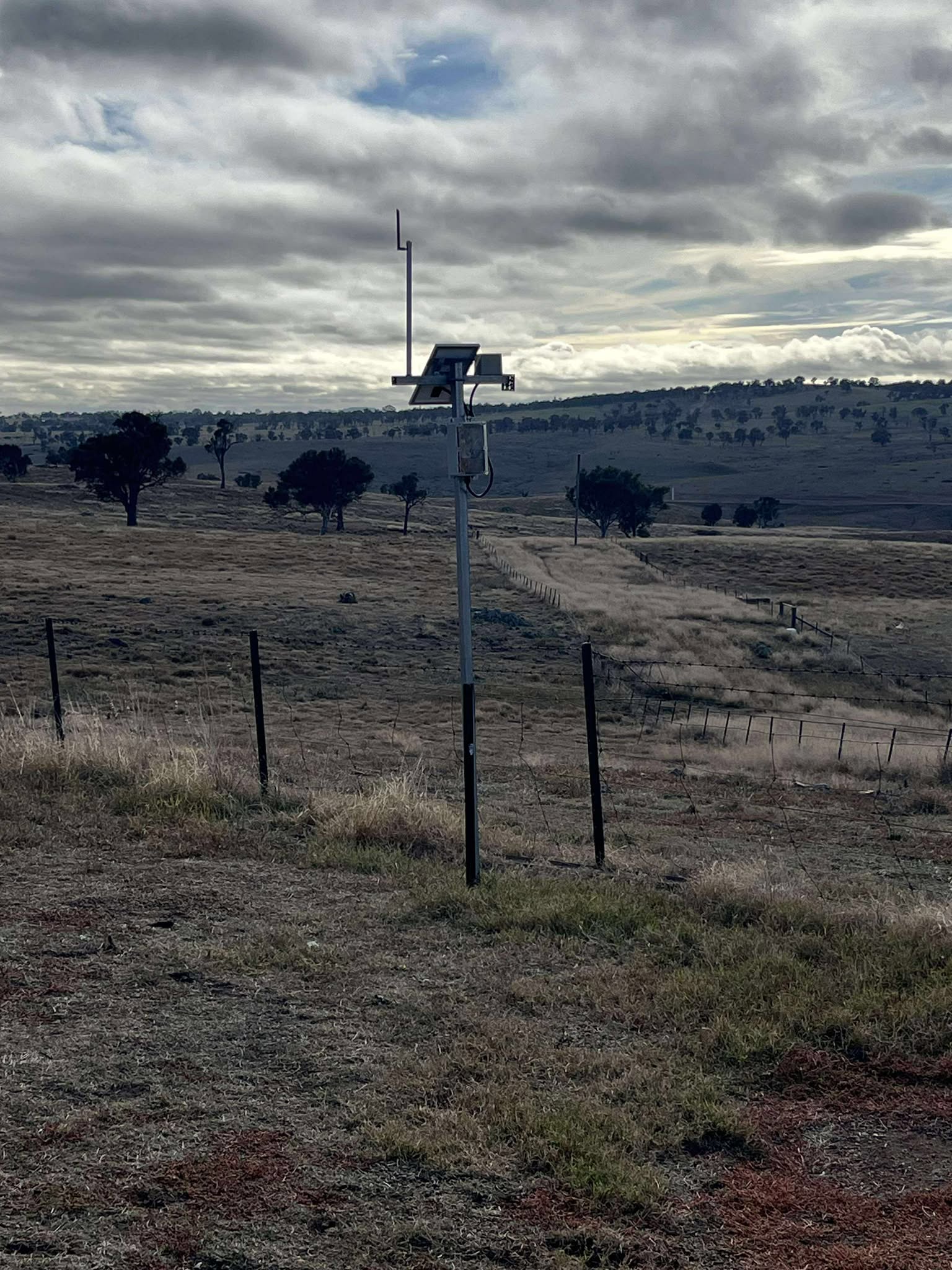 LoRa sensor node mounted on a fence post in a rural NSW paddock